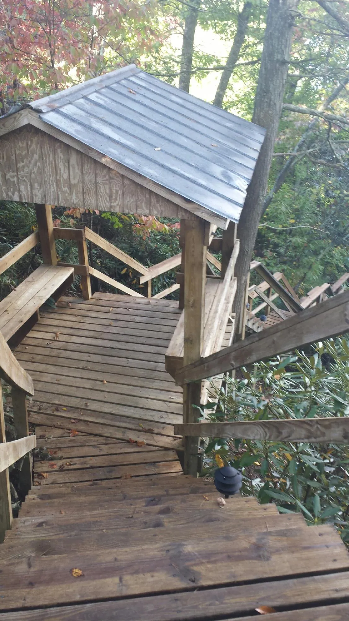Metal roofed shelter over wooden steps on a wooded walkway — Skylight Repair & Installation work by our crew in Nedrow